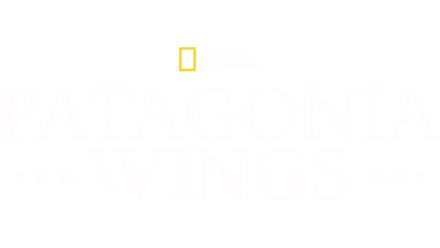 Patagonia Wings