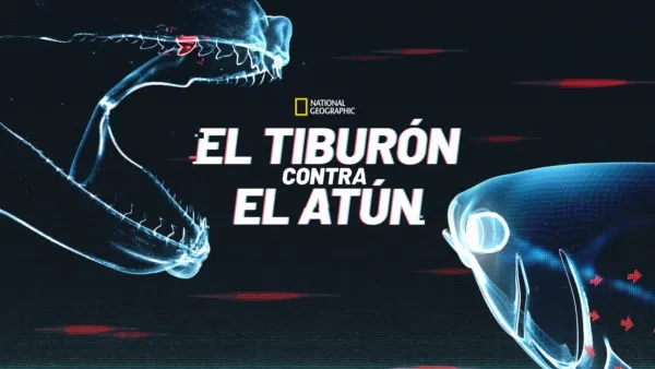 thumbnail - El tiburón contra el atún