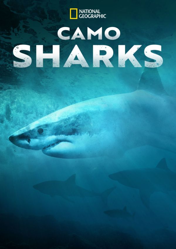 Camo Sharks on Disney+ CA