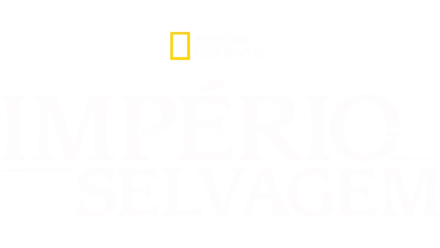 Império Selvagem