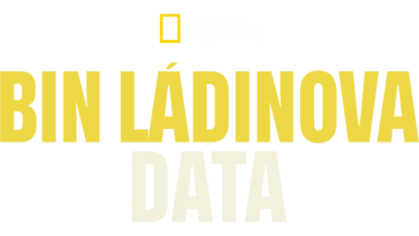 Bin Ládinova data