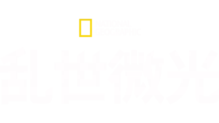 乱世微光