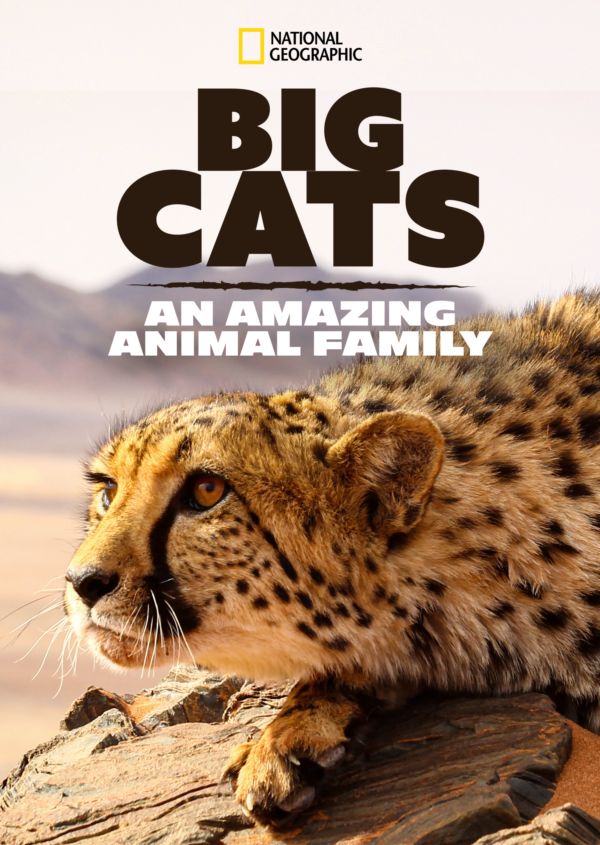 Big Cats: An Amazing Animal Family