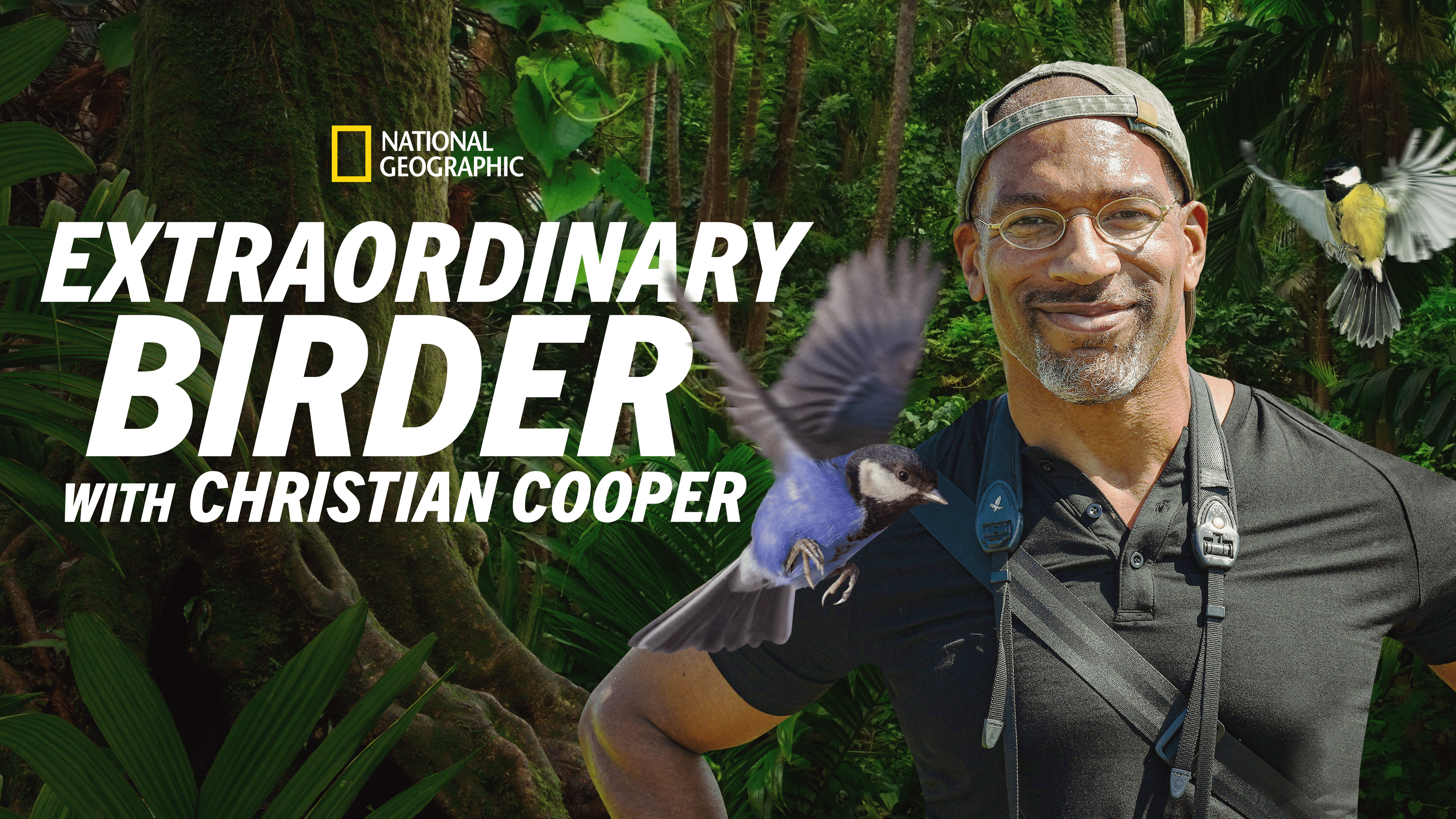 Watch Extraordinary Birder With Christian Cooper | Full Episodes | Disney+