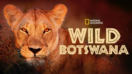 thumbnail - Wild Botswana