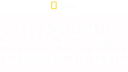 L'Eldorado della droga: Viaggio in USA