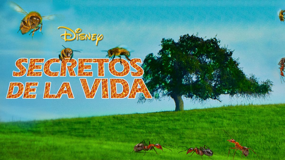 Ver Secretos De La Vida Película Completa Disney 7446