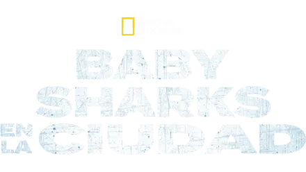 Baby Sharks en la ciudad