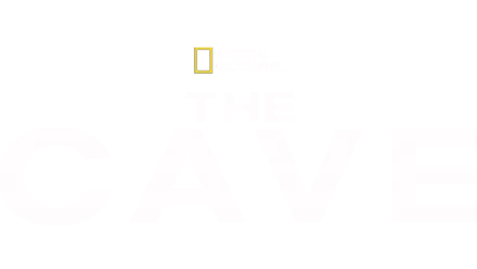 The Cave