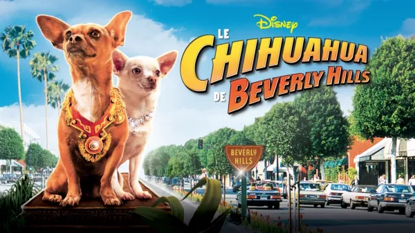 thumbnail - Le Chihuahua de Beverly Hills