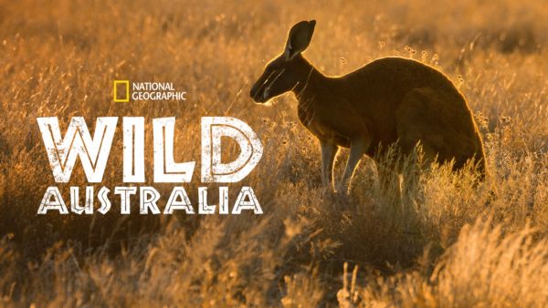 Wild Australia on Disney+ globally