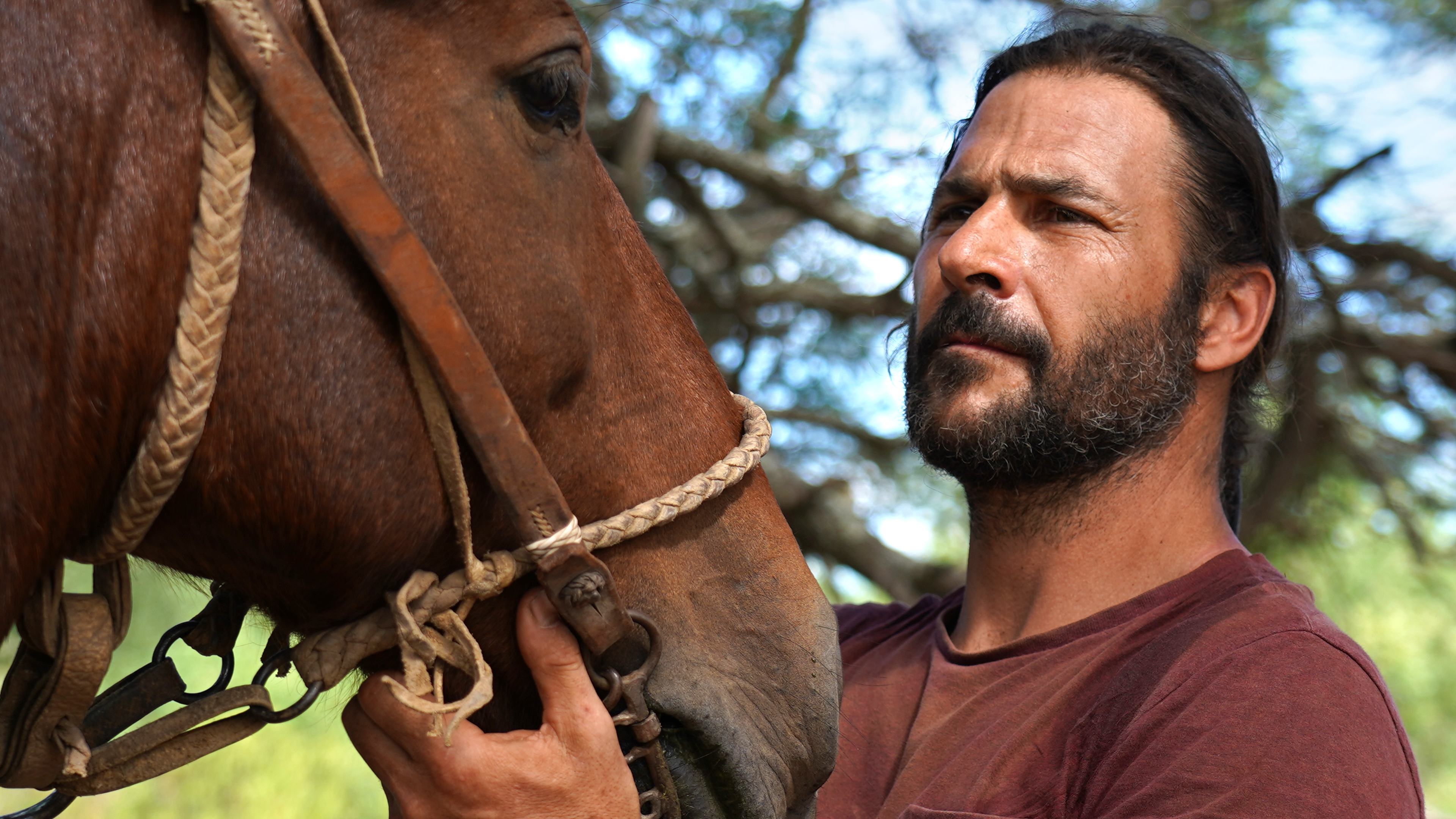 Sobrevivente Primitivo com Hazen Audel: Os Andes