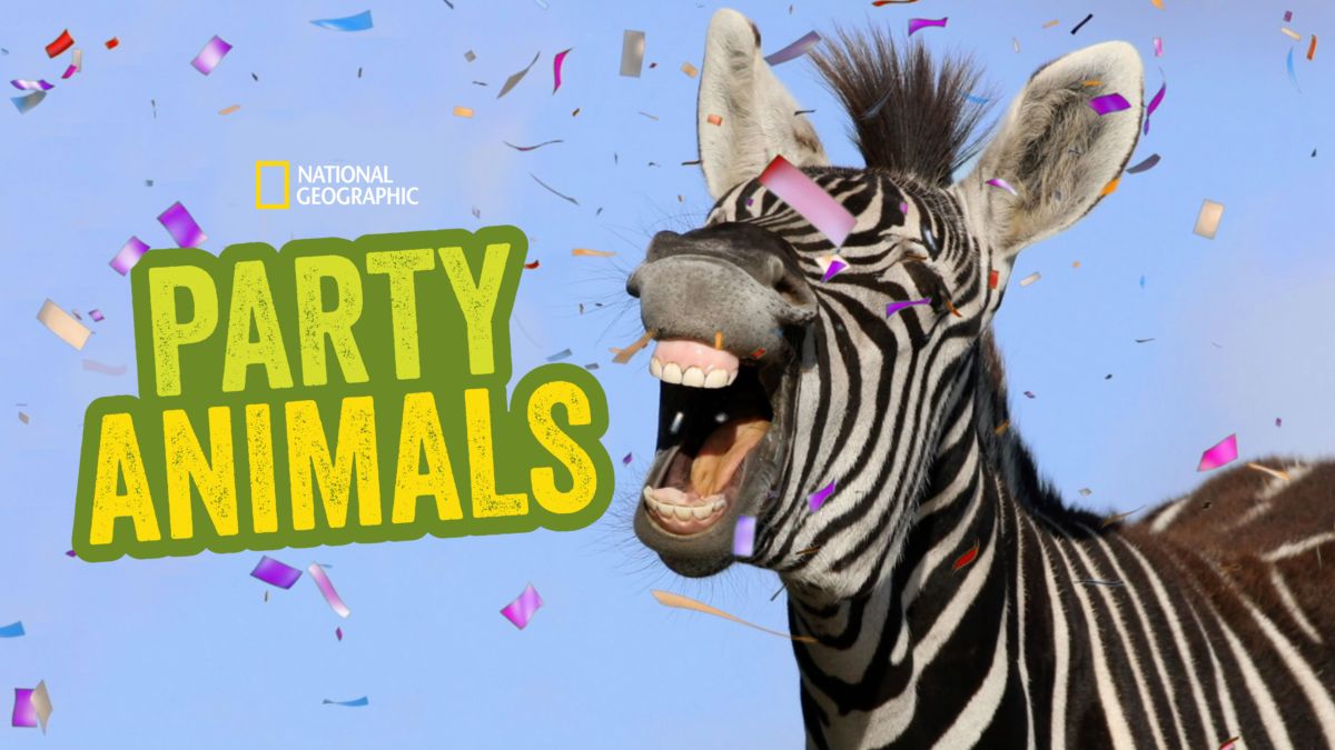 Watch Party Animals Disney+