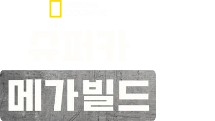 슈퍼카 메가빌드