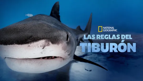 thumbnail - Las reglas del tiburón