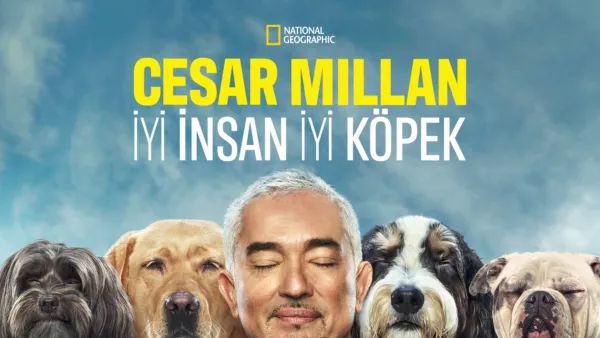 thumbnail - Cesar Millan: İyi İnsan, İyi Köpek