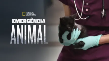 thumbnail - Emergência Animal