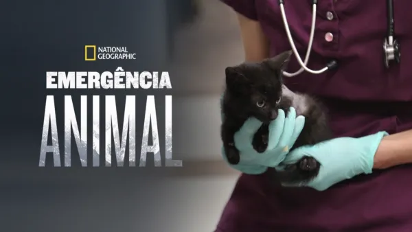 thumbnail - Emergência Animal