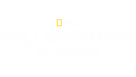 Yellowstone Selvagem