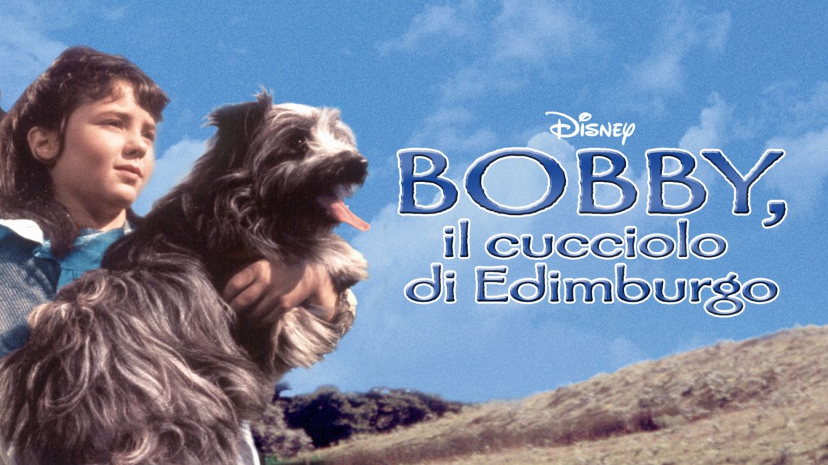 Bobby Il Cucciolo Di Edimburgo Streaming Ita