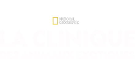La clinique des animaux exotiques
