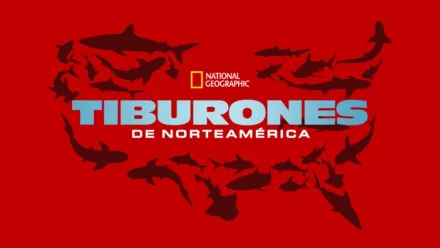 thumbnail - Tiburones de Norteamérica