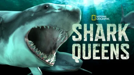 thumbnail - Shark Queens