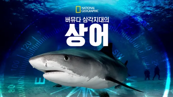 thumbnail - 버뮤다 삼각지대의 상어