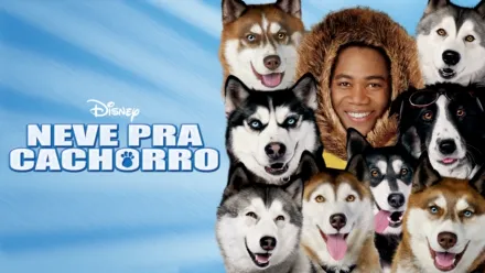 thumbnail - Neve pra Cachorro