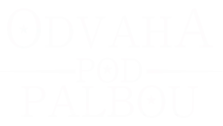 Odvaha pod palbou