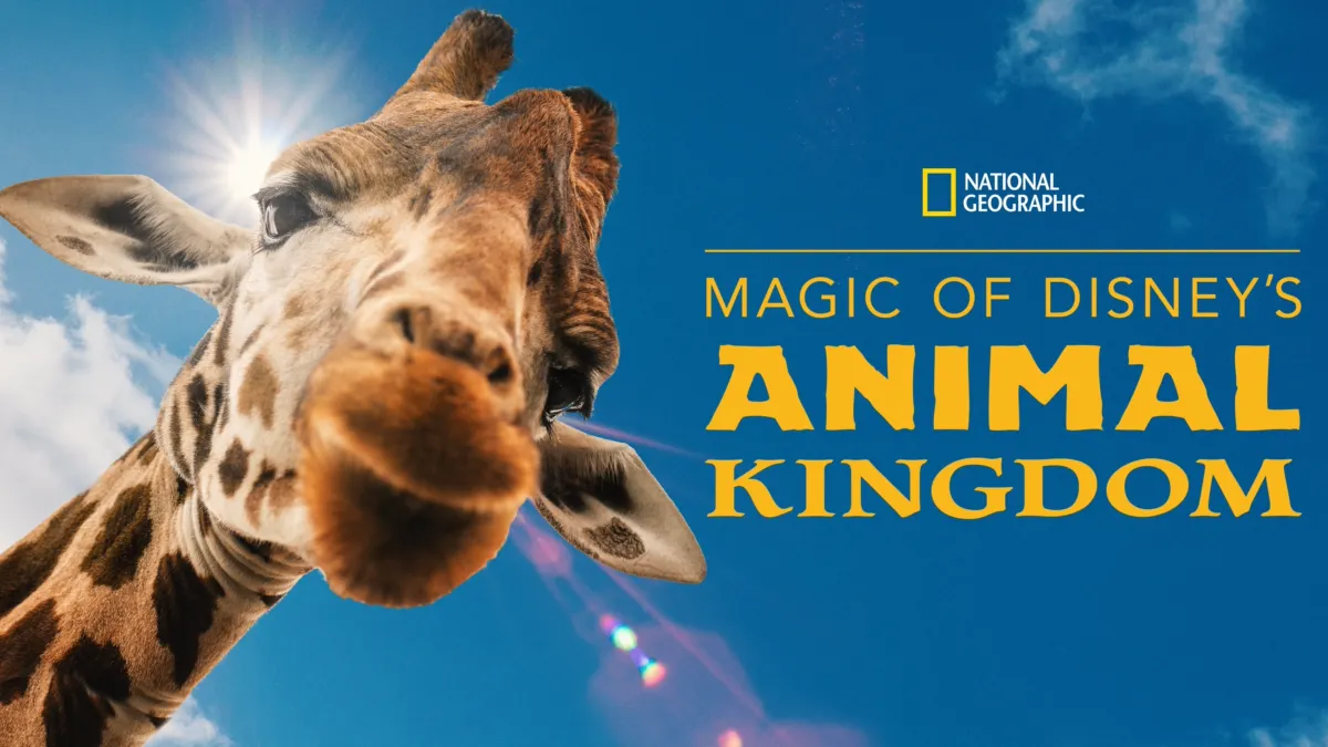 Watch animal hot sale kingdom online