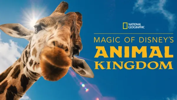 thumbnail - Magic of Disney's Animal Kingdom