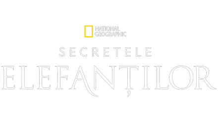 Secretele elefanților