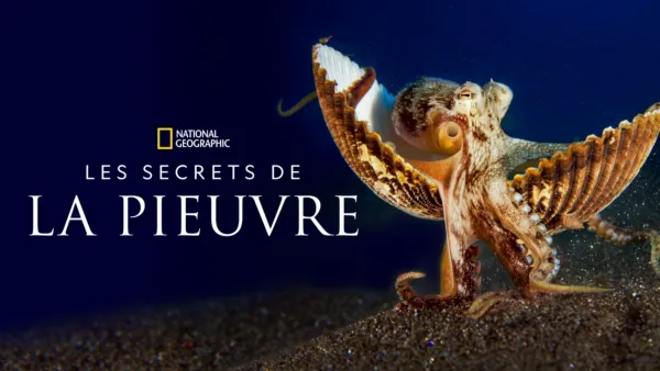 thumbnail - Les secrets de la pieuvre