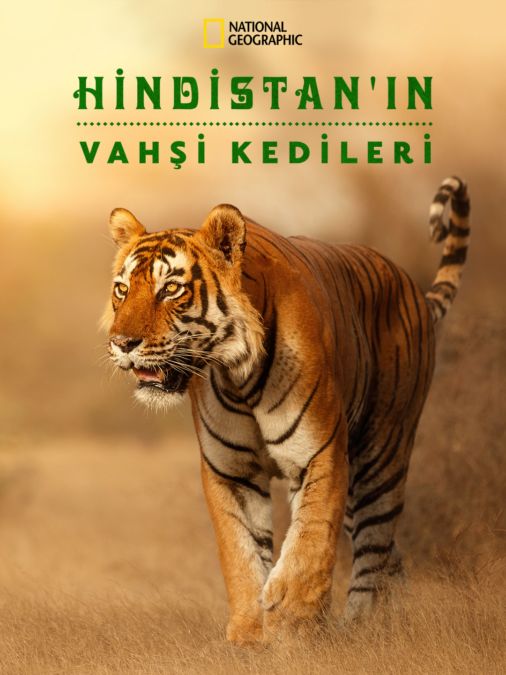 Hindistan'ın Vahşi Kedileri_tr 6