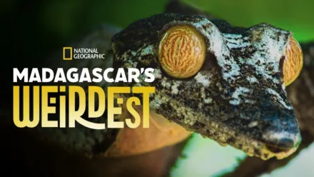 thumbnail - Madagascar’s Weirdest