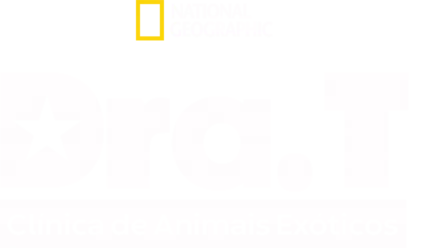 Dra. T: Clínica de Animais Exóticos