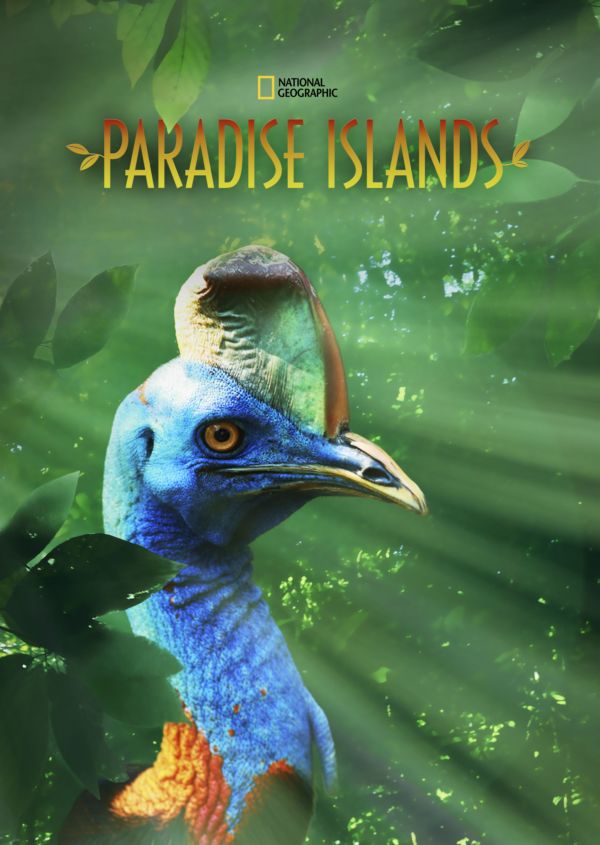 Paradise Islands on Disney+ AU