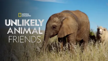 thumbnail - Unlikely Animal Friends