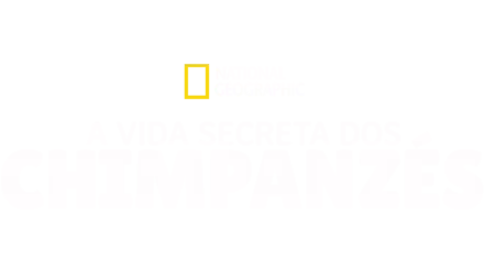 A Vida Secreta Dos Chimpanzés