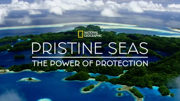 thumbnail - Pristine Seas: The Power of Protection