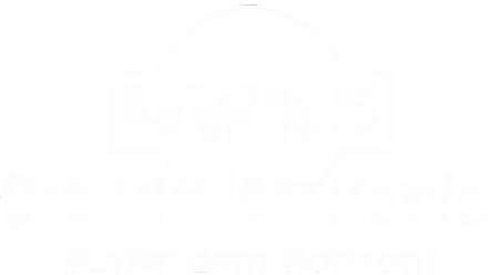 Die Wilden Kerle 5