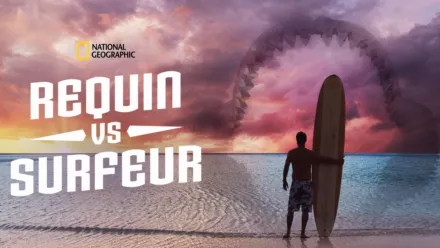 thumbnail - Requin vs Surfeur