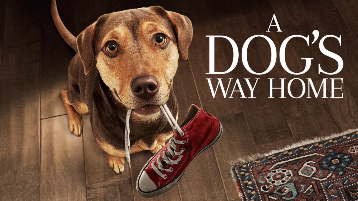 Watch a dog's way home online free new arrivals