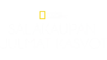 Salakaupan julmat kasvot