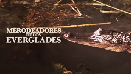 thumbnail - Merodeadores de los Everglades