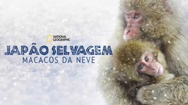 thumbnail - Japão Selvagem: Macacos da Neve