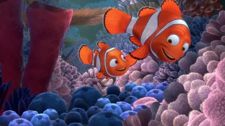 Find Nemo 