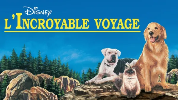 thumbnail - L'Incroyable Voyage