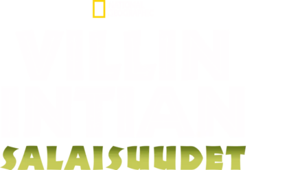 Villin Intian salaisuudet